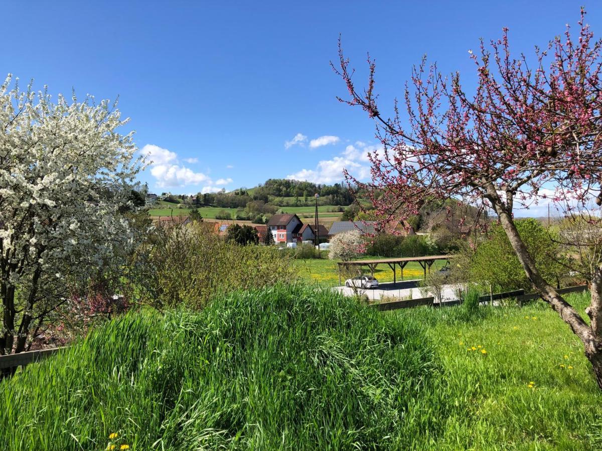 Ferienwohnungen Und Appartements Im Idyllischen Vierkanthof, Gruppenurlaube Loipersdorf bei Fuerstenfeld Ngoại thất bức ảnh